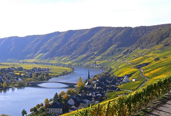 羅伯特威爾酒莊(Weingut Robert Weil)