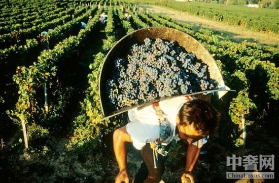 愛馬仕家族收購福卡酒莊