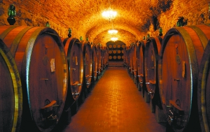 夏日美酒需要清涼儲(chǔ)存