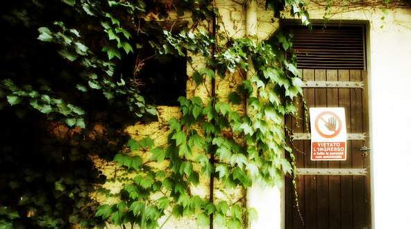 意大利 天堂酒莊的美酒與玫瑰