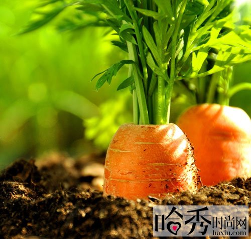 點擊查看下篇文章