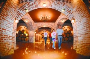 相約河西走廊，醉美葡萄酒城