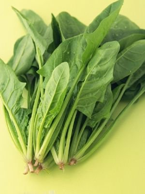 養生需知：盤點10種最抗衰老蔬菜(組圖)