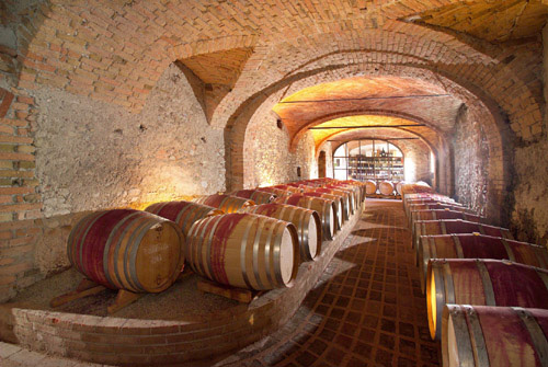 總統酒莊 尊享貴族品質