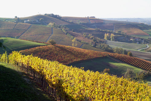 總統酒莊 尊享貴族品質