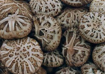 融水香菇 圖源：新浪網