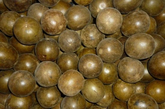 三江羅漢果 圖源：新浪網