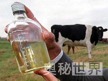 世界最怪異的飲料 你的舌尖受得了嗎？