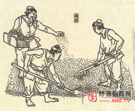 白酒釀造工藝流程圖解