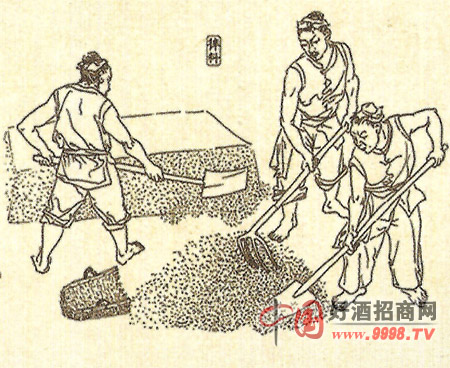 白酒釀造工藝流程圖解