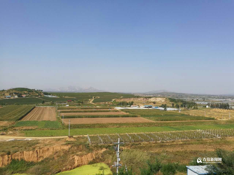 德國(guó)博士鐘情青島萊西 1億歐元打造葡萄酒莊