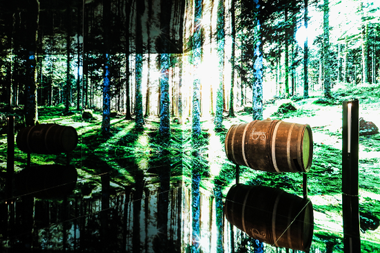 “窖藏的秘密”展區(qū)，感受生命之水在橡木桶中呼吸、涌動和熟成的力量