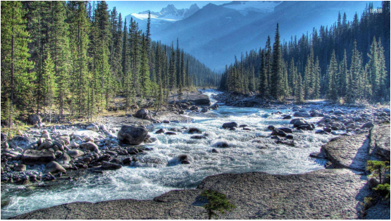 1566201584497551.png image.png