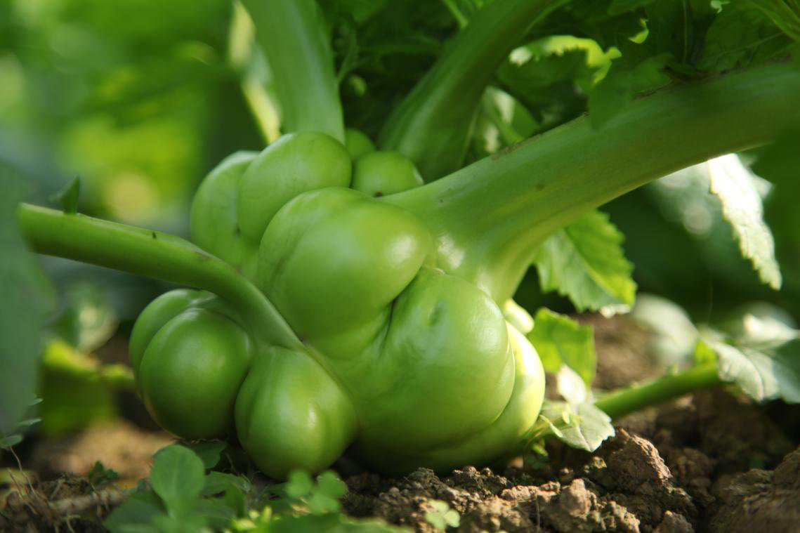 /upimg/allimg/210125/0U02U343-1.png /upimg/allimg/210125/0U02U343-1.png