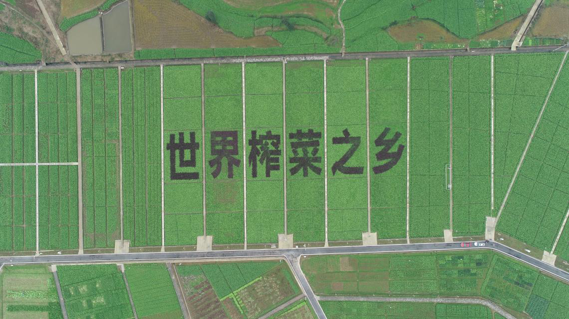 /upimg/allimg/210125/0U1022603-5.png /upimg/allimg/210125/0U1022603-5.png