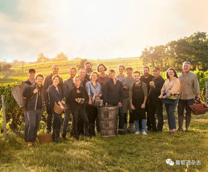 這里是動物世界？不，這是波爾多的葡萄園