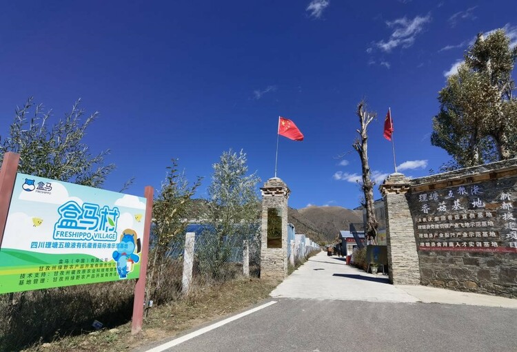 【2023企業社會責任】五糧液集團：大企業踐行大擔當 讓高原“小香菇”撐起藏區群眾增收“致富傘”_fororder_5