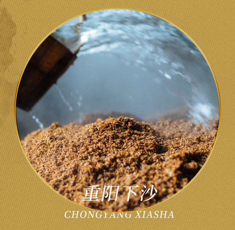 medias-uploads/ty-202308/9d5b012a6b9f8b72a2f24ed8eed94326.png 圖片5.png