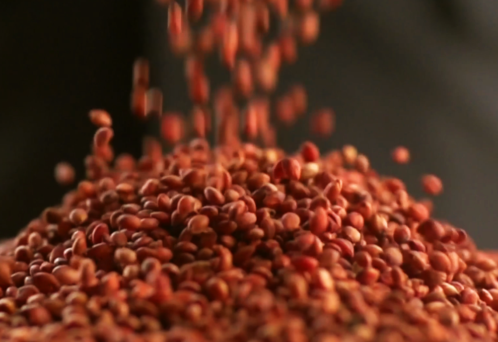 medias-uploads/ty-202308/83882c1371a2758cd46126a95450ce82.png 圖片2.png