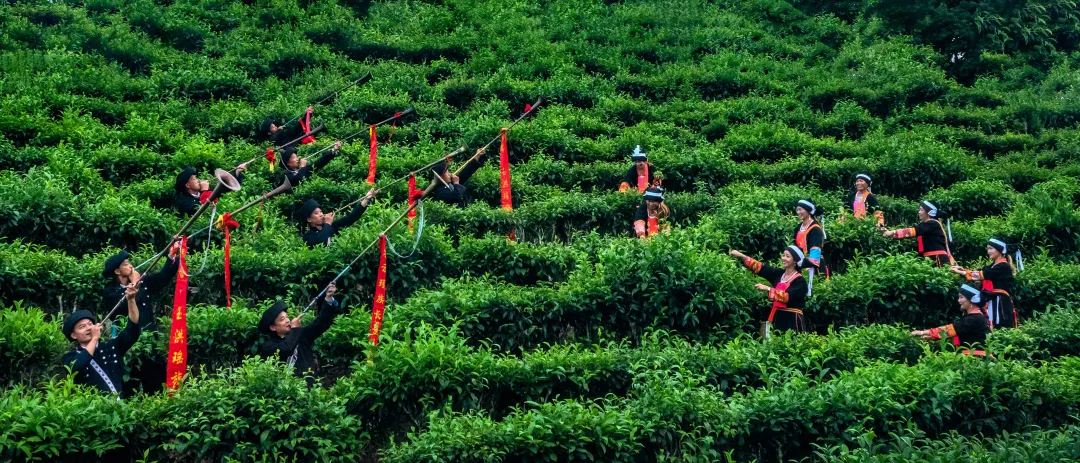 圖片4.png 圖片4.png